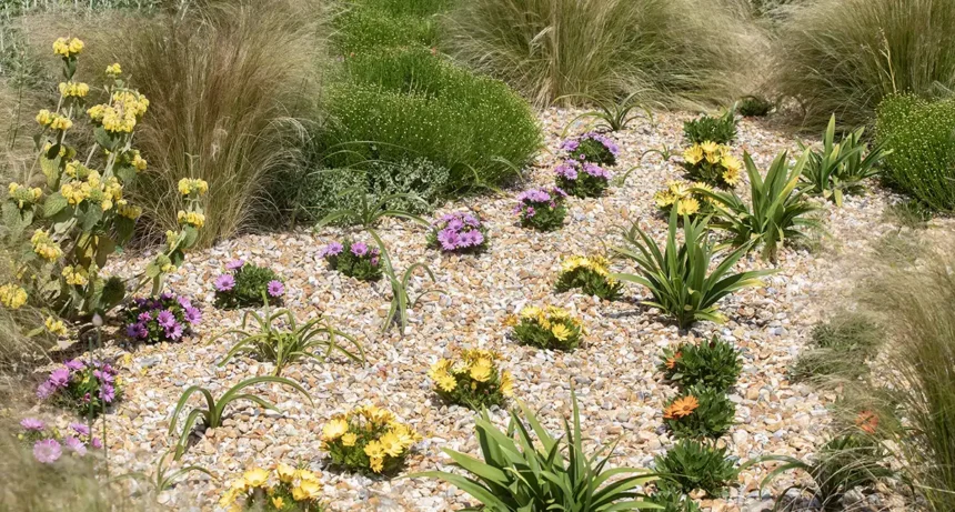 Survey to decide future of Eastbourne's Carpet Gardens - Eastbourne Newspaper